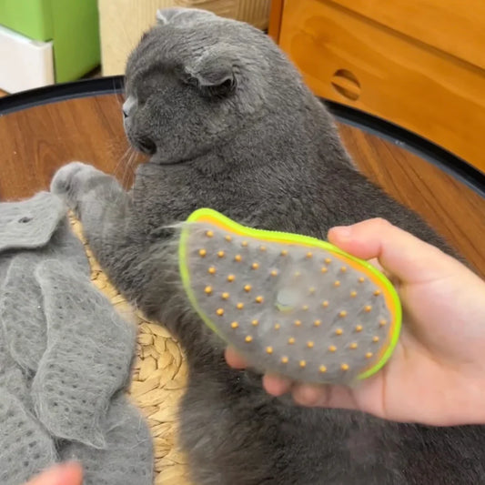 CEPILLO PARA MASCOTAS BRUSH VAPOR